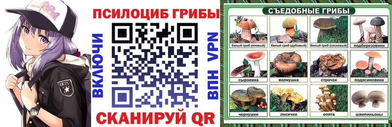Псилоцибиновые грибы Magic Shrooms  закладки  Советск 