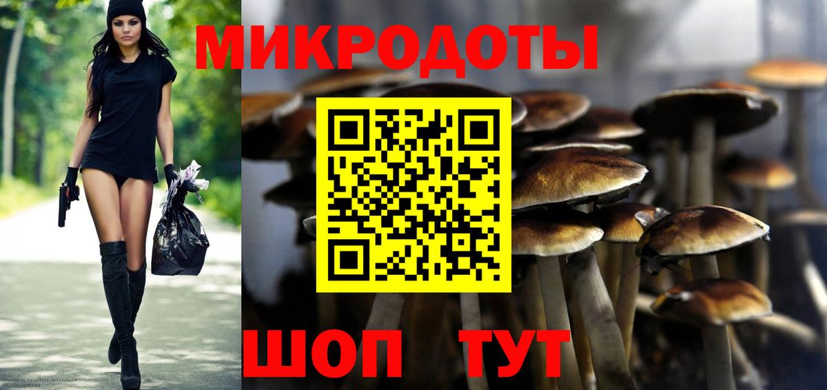 Псилоцибиновые грибы прущие грибы  Вход с VPN  Галлюциногенные грибы Psilocybe  Советск 